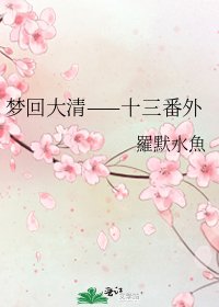 梦回大清——十三番外