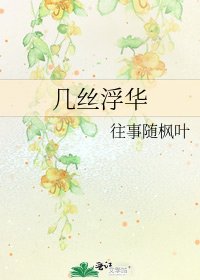 几丝浮华